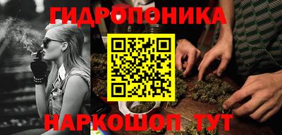 индика Донецк