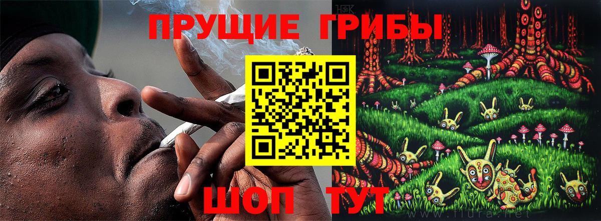 Мурино  Псилоцибиновые грибы прущие грибы  Вход с VPN 